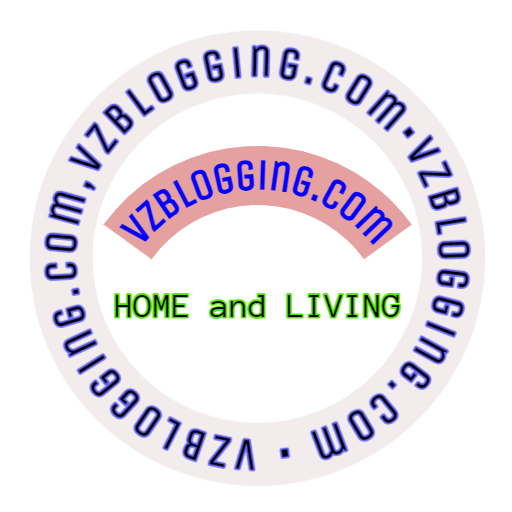 vzbloggin.com logo